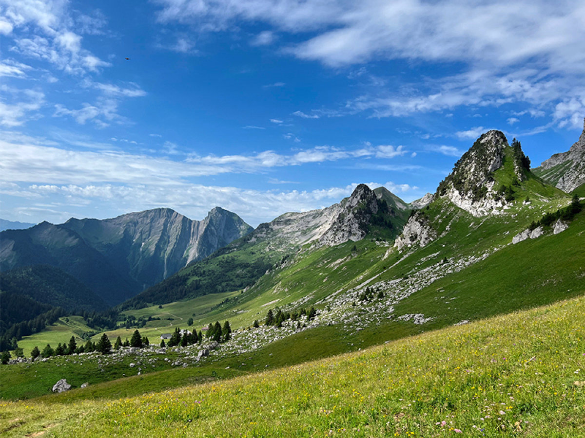 Voyage en Haute Montagne - Les 2000 m des Bauges : trilogie rando aux sommets