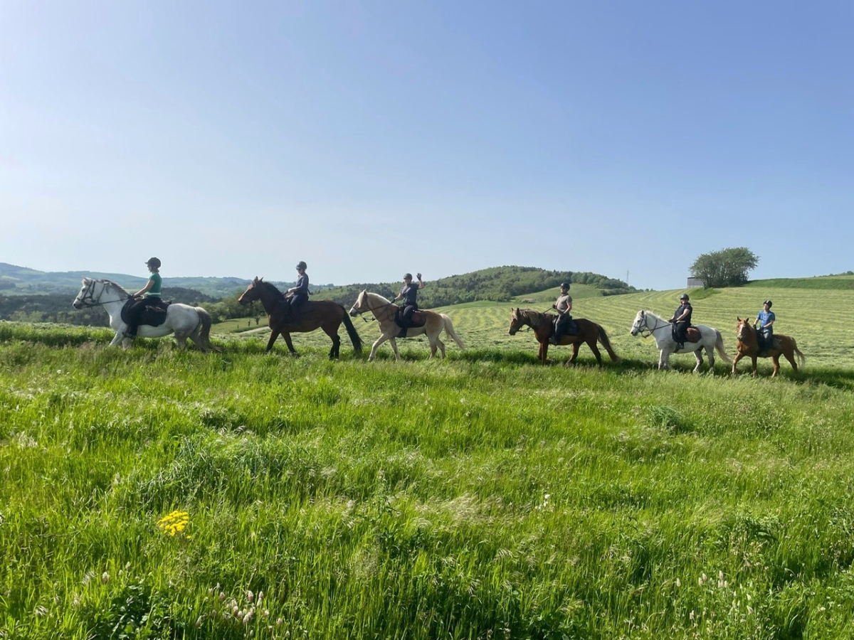 Voyage à cheval - À cheval dans le Haut Vivarais, au cœur de l\'Ardèche 2 jours