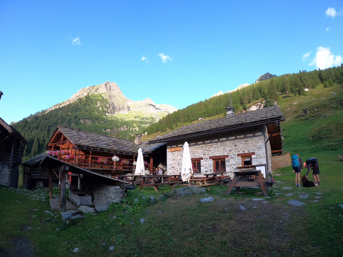 Le Mont Rose sauvage en trek