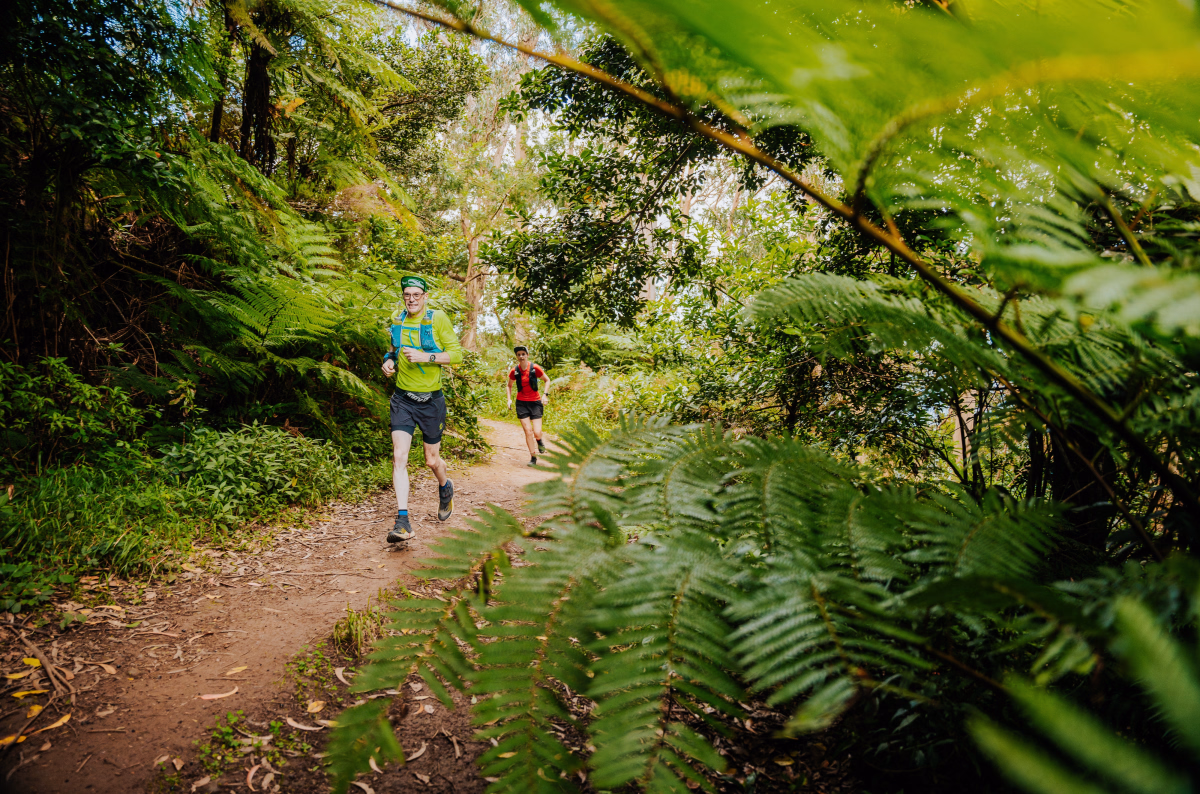 Trail - Stage trail à Madère : aventure sur une île volcanique