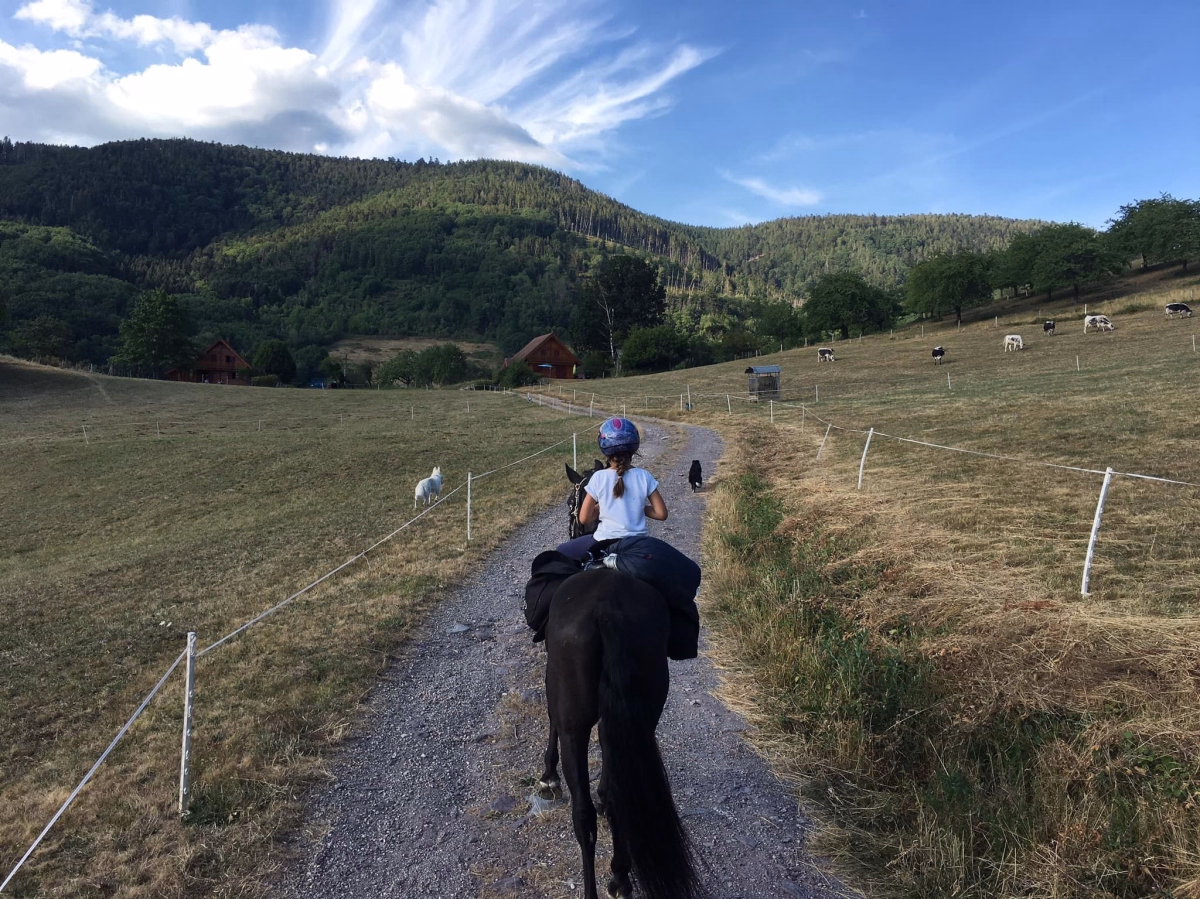 Voyage à cheval - Week-end équestre dans les Vosges