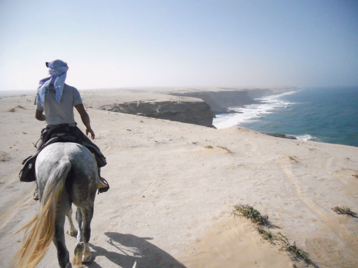Voyage à cheval - Randonnée équestre entre plages, déserts et palmeraies au Maroc