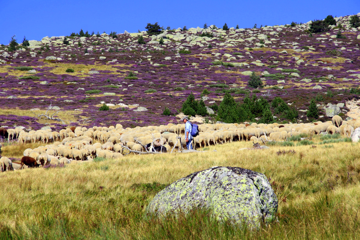 Trek - Séjour nature au cœur d\'un parc national préservé dans les Cévennes