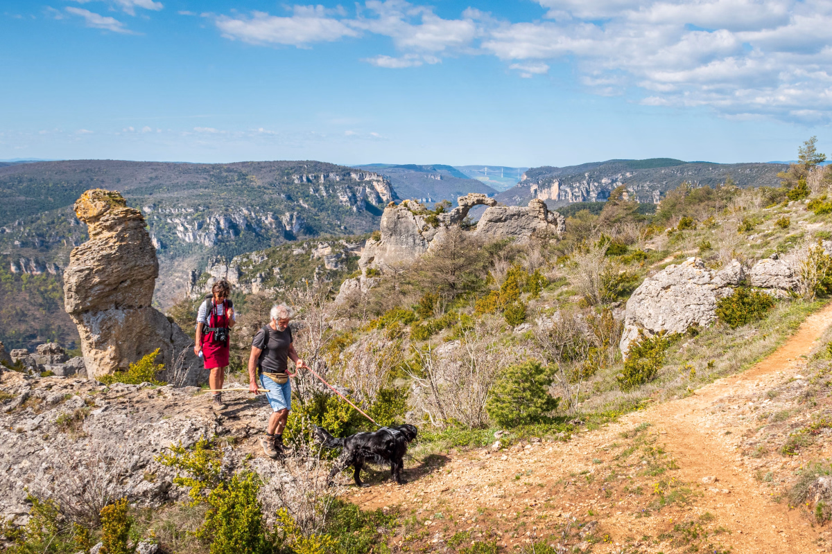 Cani-aventure et découverte des Grands Causses à Millau