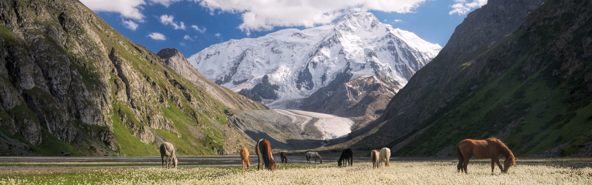 Voyage à cheval - Randonnée et cheval au Kirghizistan