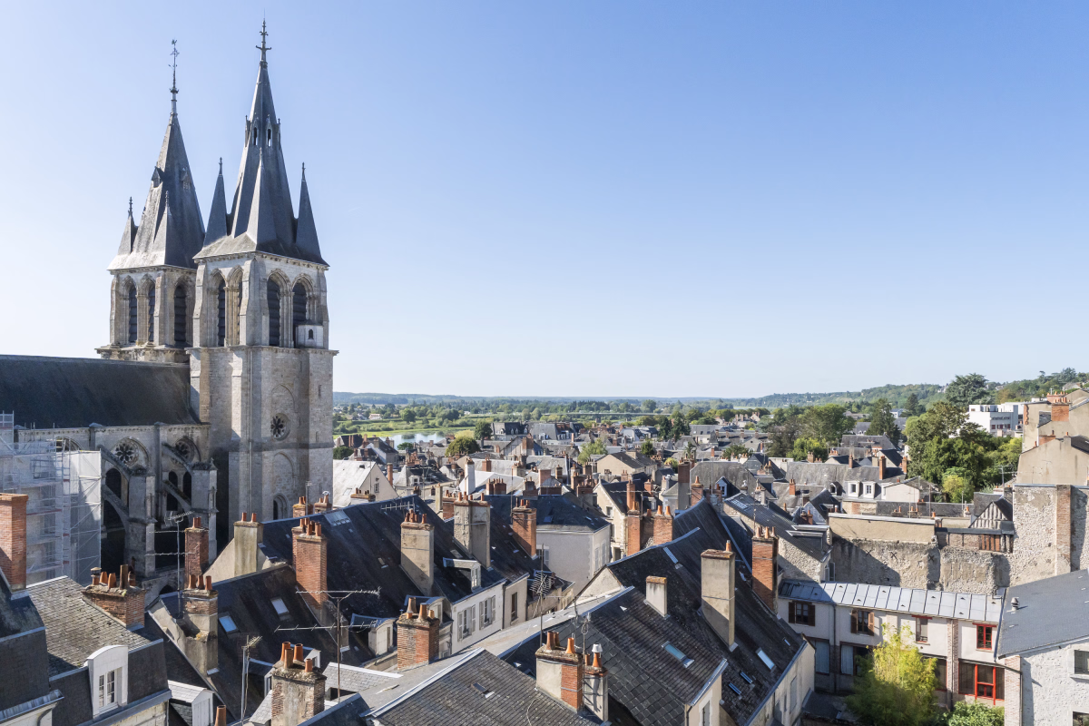 Voyage à vélo - Balade royale à vélo : Blois, Amboise et les joyaux de la Loire