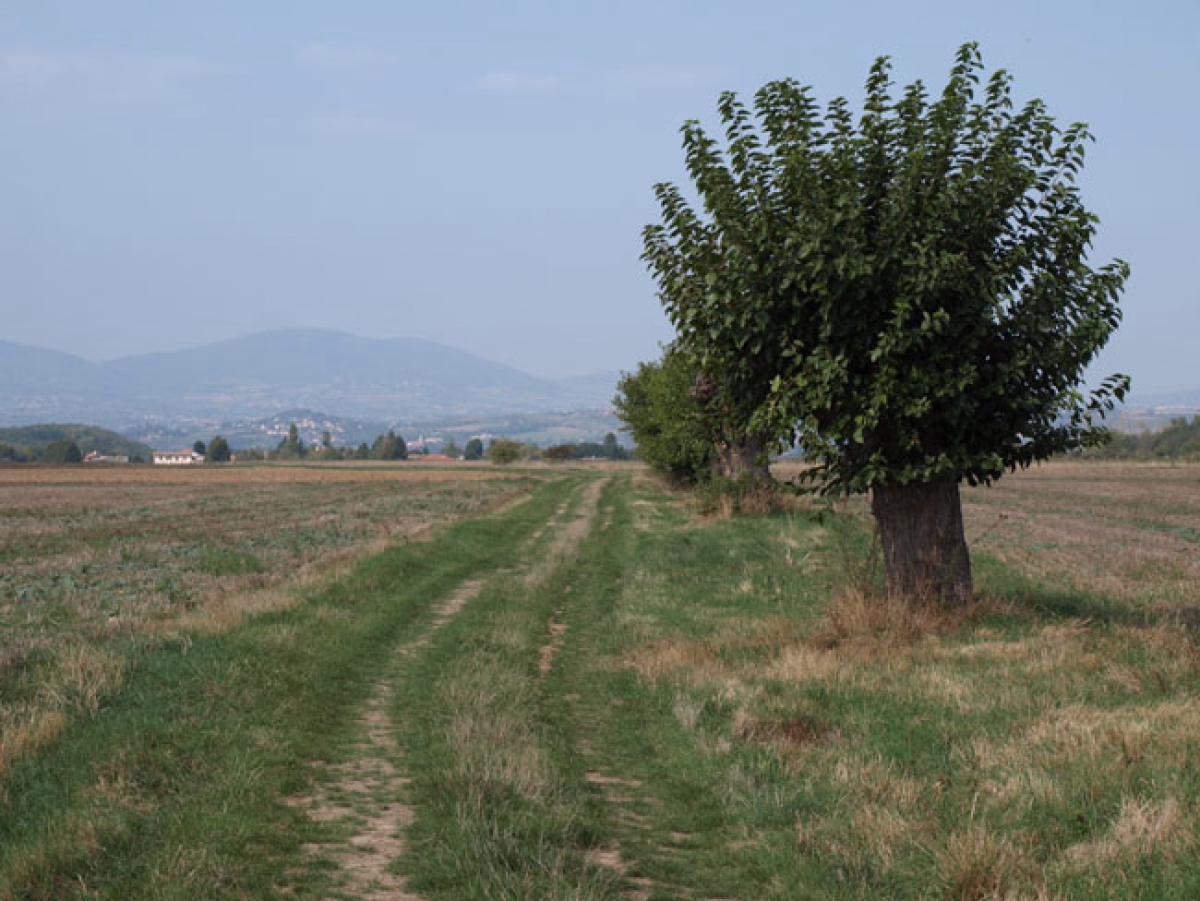 Chemins de Compostelle de St Genix sur Guiers à Condrieu