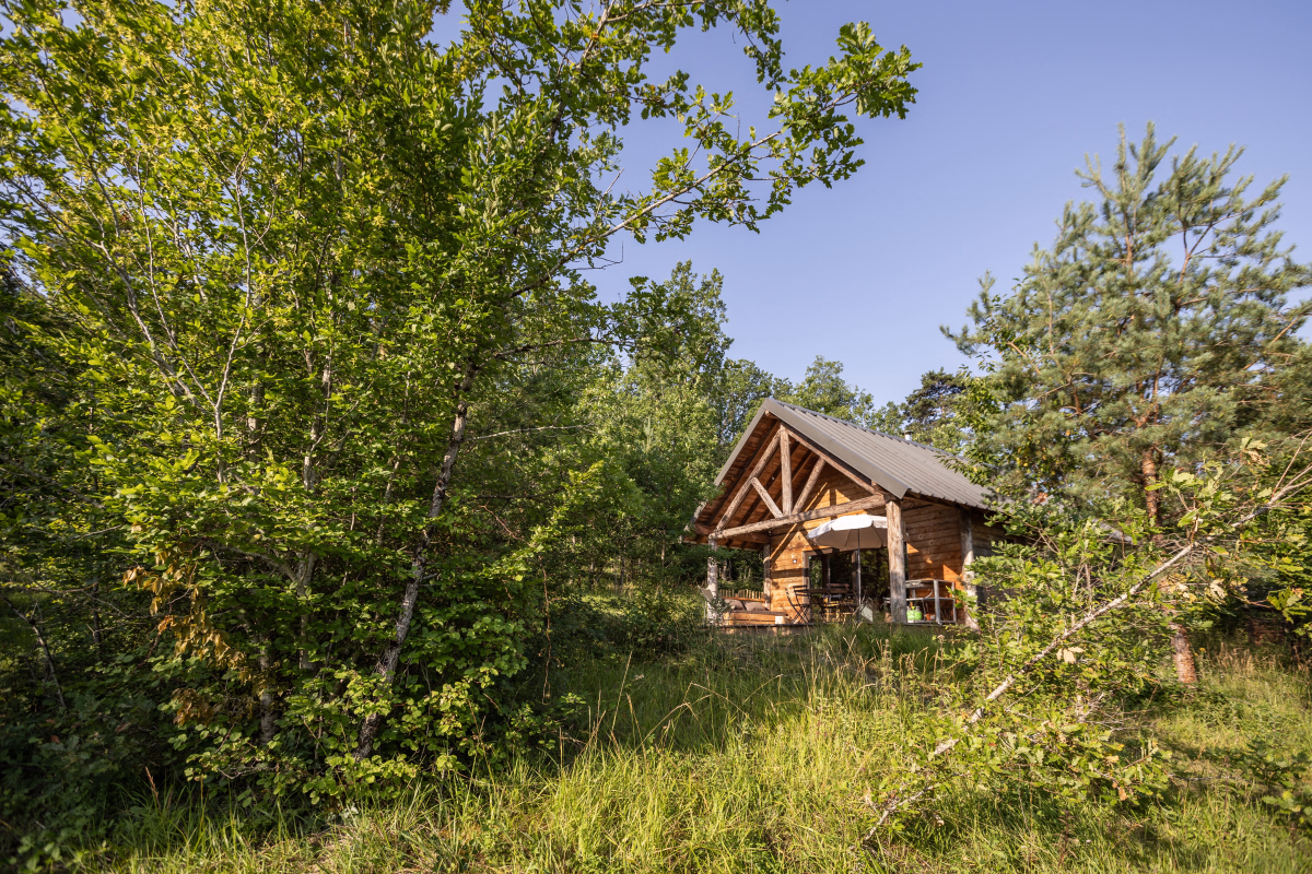 Sauvage Dordogne : Survie Douce, Yoga & Peinture