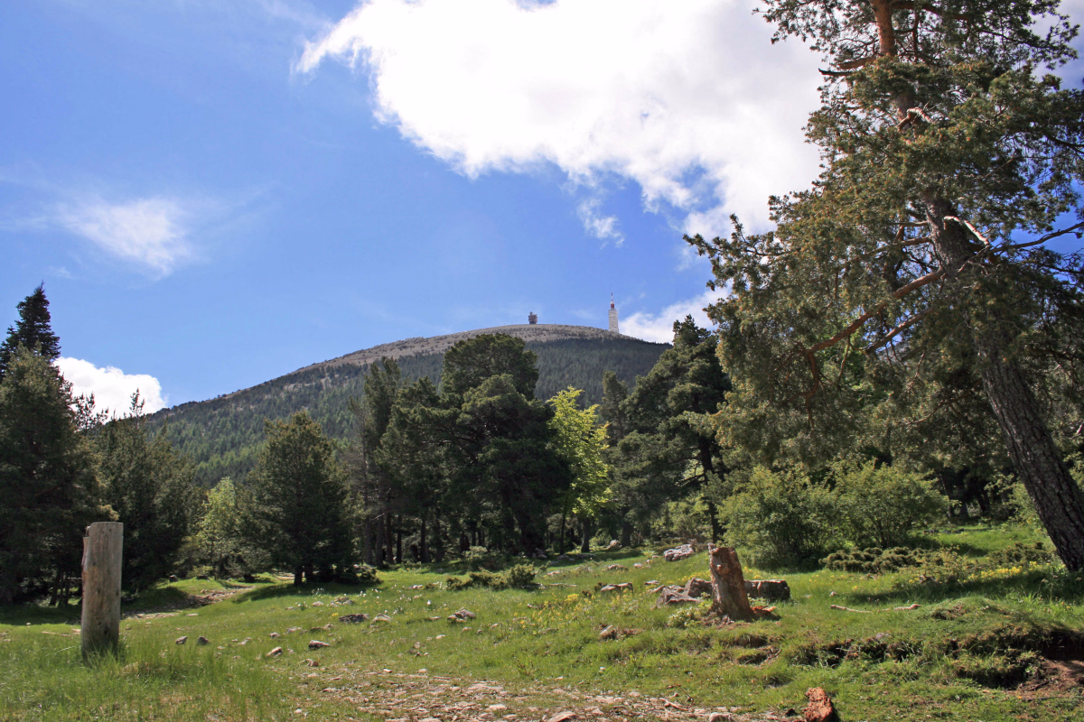 Voyage à vélo - VTT autour du Mont Ventoux