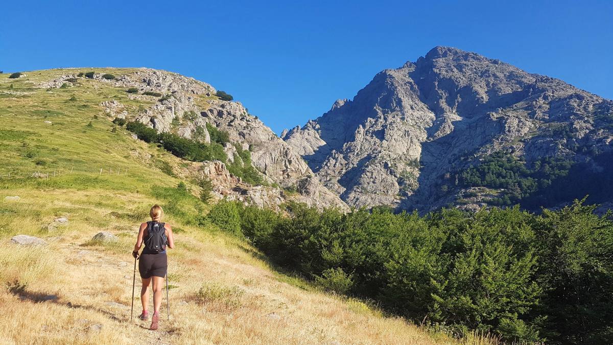 Le train Corse, de Corte au GR20