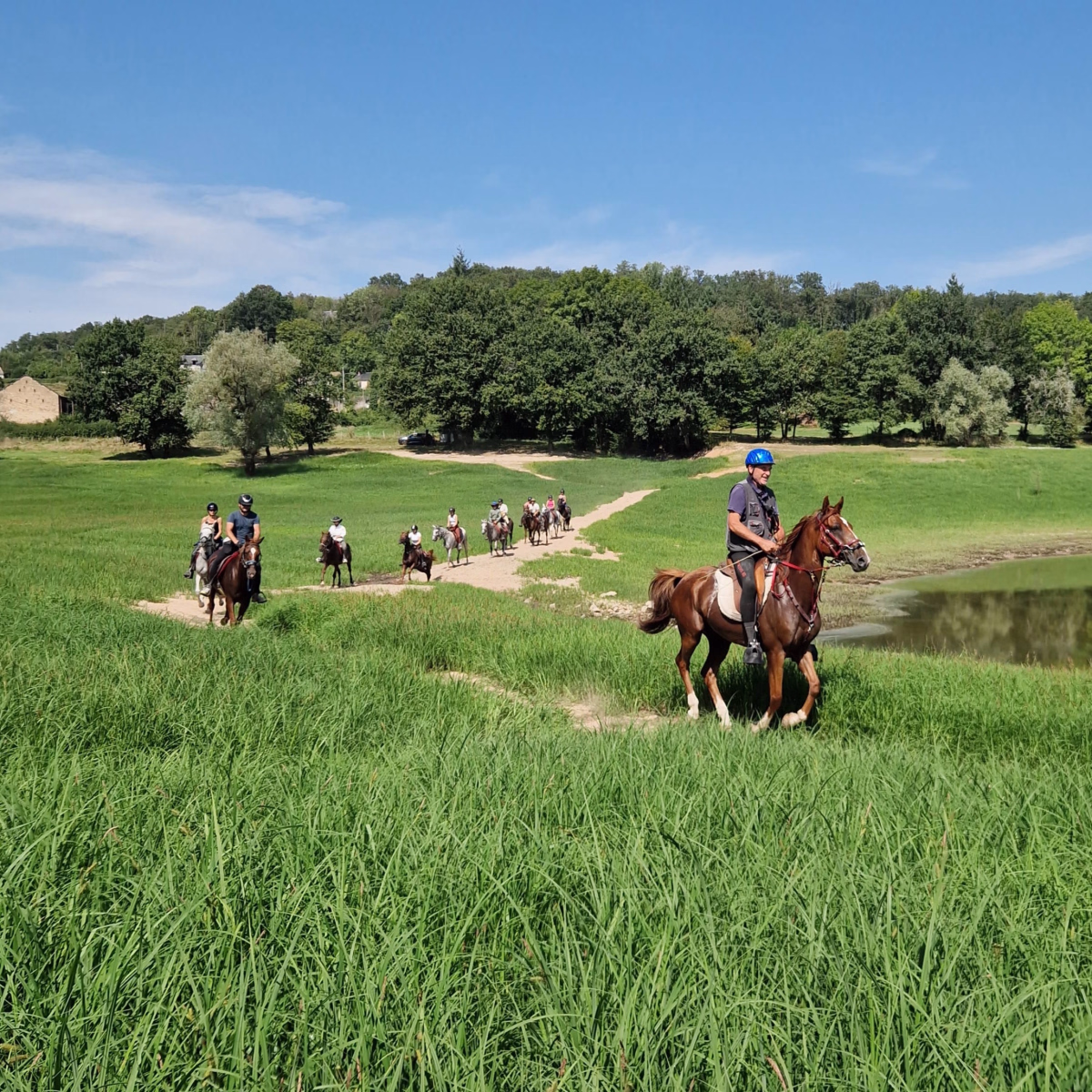 Voyage à cheval - Randonnée équestre  des lacs du Morvan