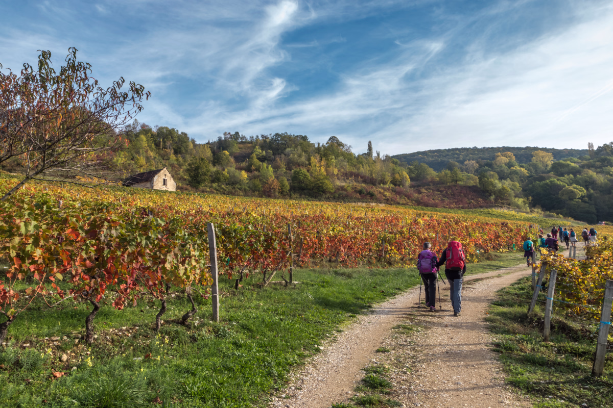 Trek - Randonnée dans les montagnes du Jura