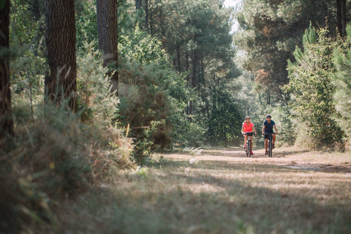 D'Arcachon à Biarritz par la Velodyssée