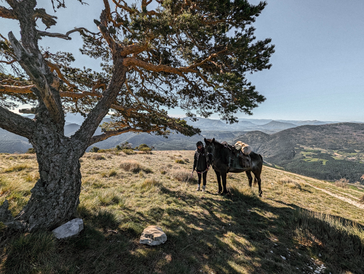 Voyage à cheval - Évasion à cheval avec nuit en cabane