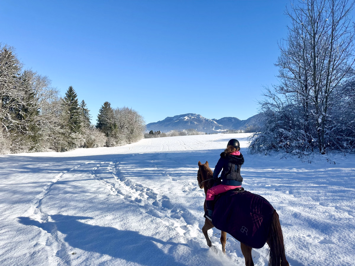 Voyage à cheval - Week-end à cheval dans les Bauges sous la neige