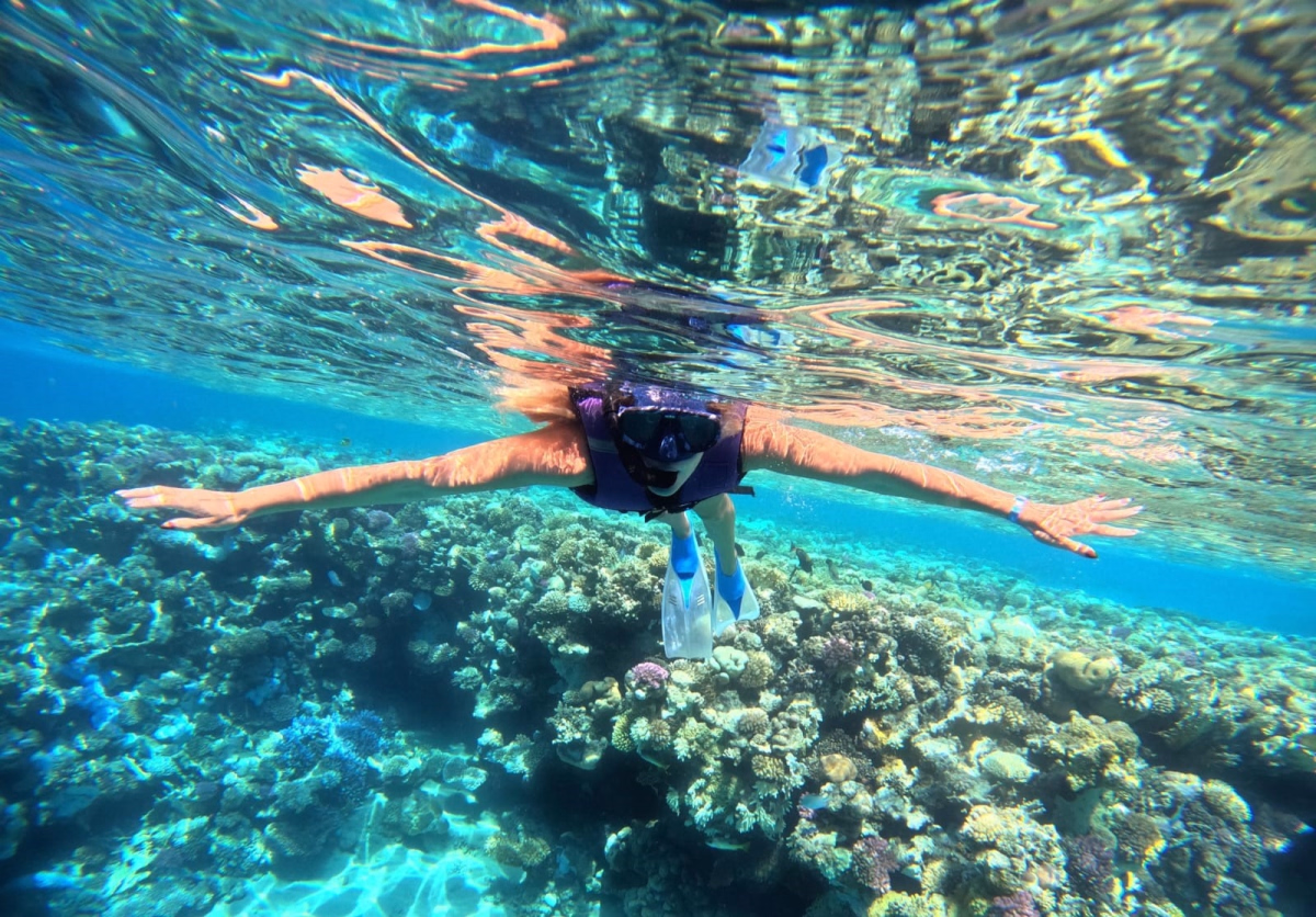 Snorkeling - Découvrez le monde sous marin de Ras Mohammed en palmes
