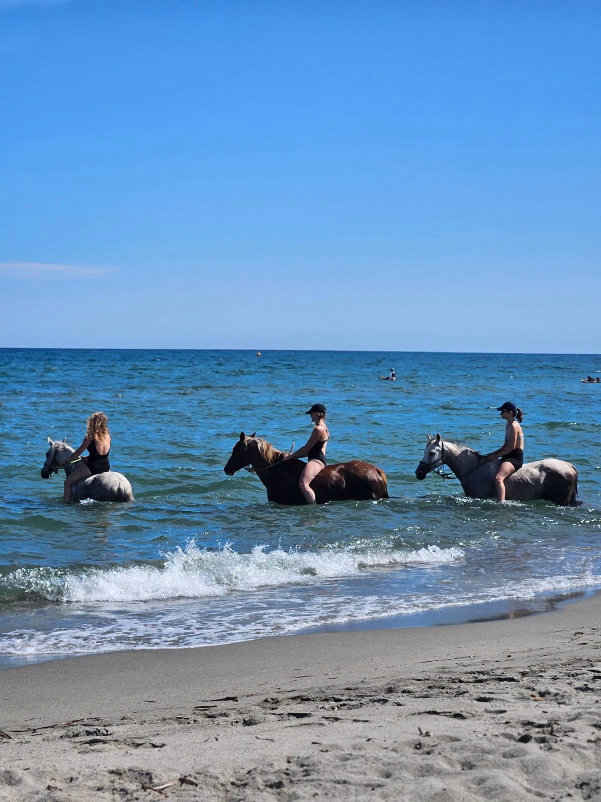 Voyage à cheval - Randonnée équestre en Corse gourmande et sauvage