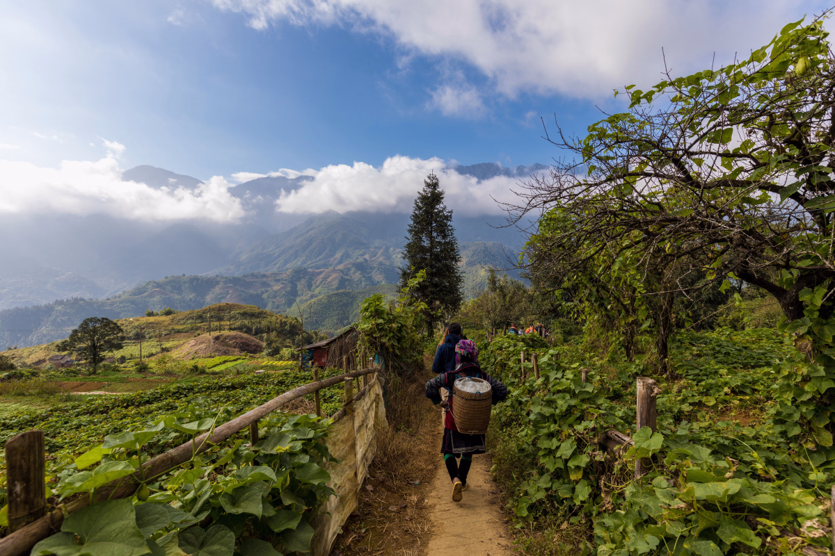 Voyage en Haute Montagne - Excursion exploration des sommets et des vallées de Sapa