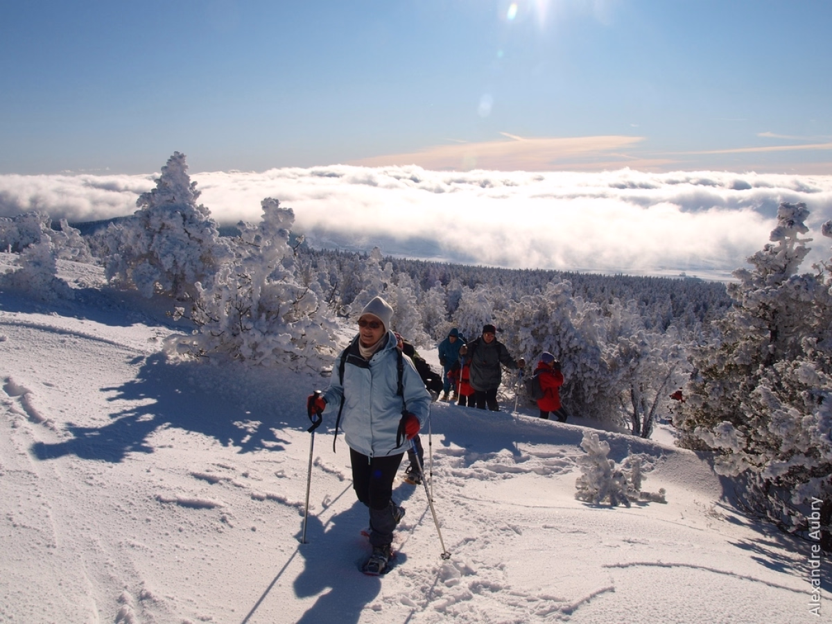 Séjour raquettes à la découverte du massif Mézenc-Gerbier
