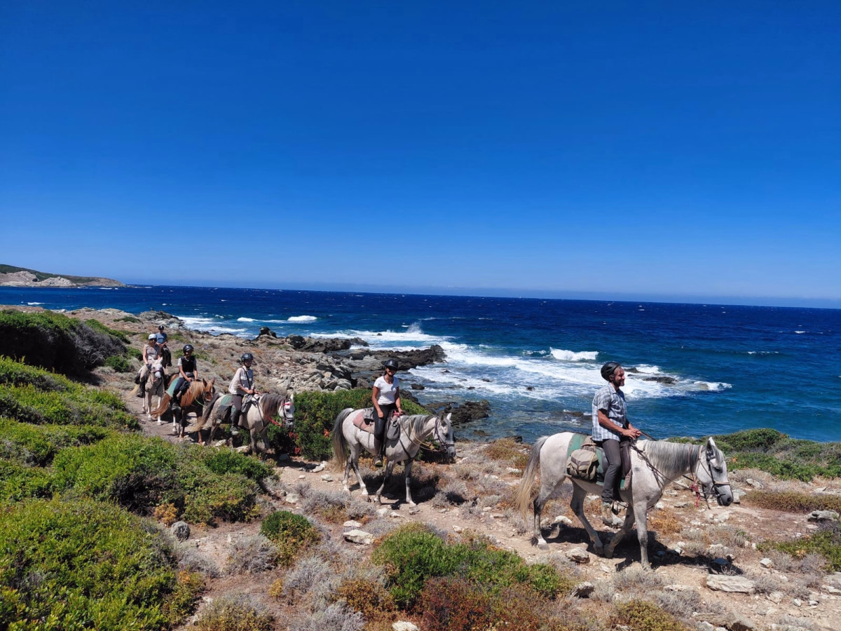 Voyage à cheval - Aventure équestre sauvage au cœur des Agriates en Corse