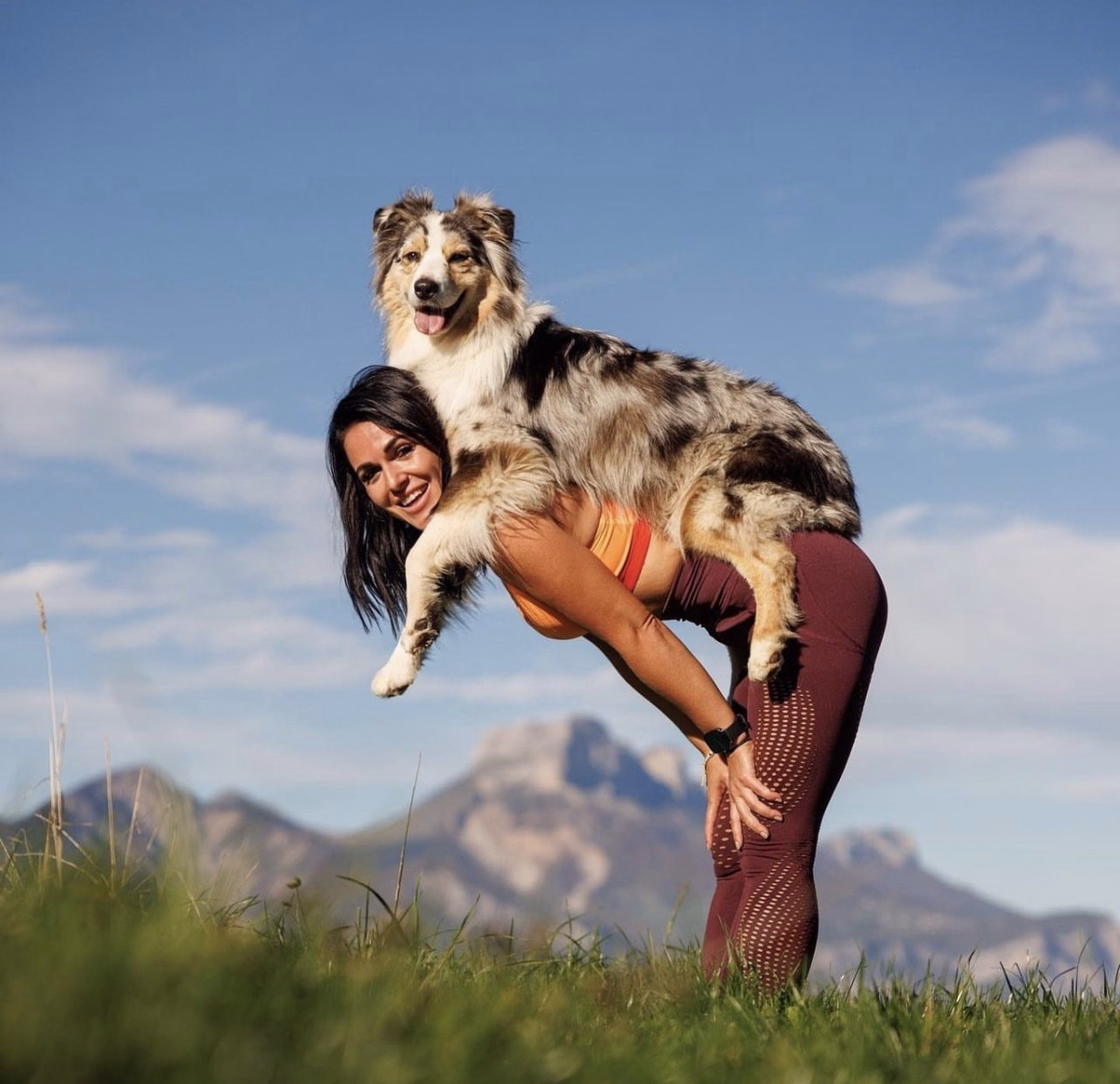 Séjour randonnée et doga en Haute-Savoie avec votre chien