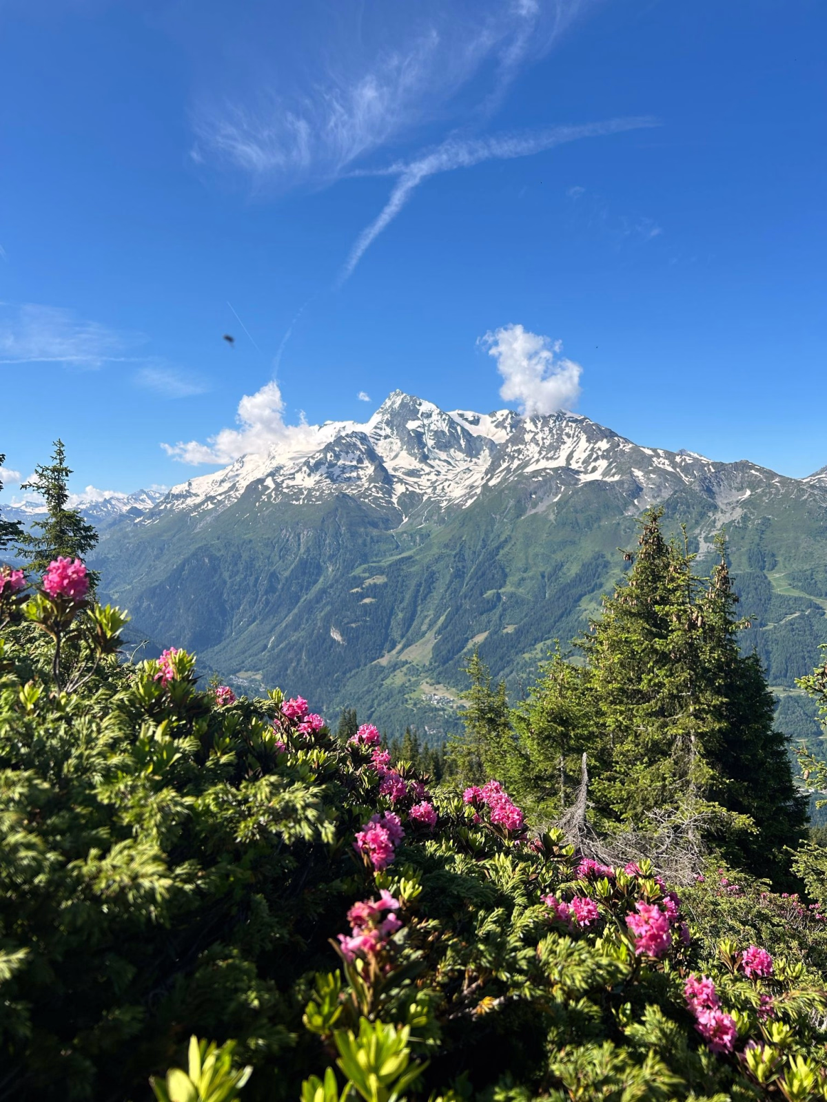 3 jours de trek dans le Parc National de la Vanoise