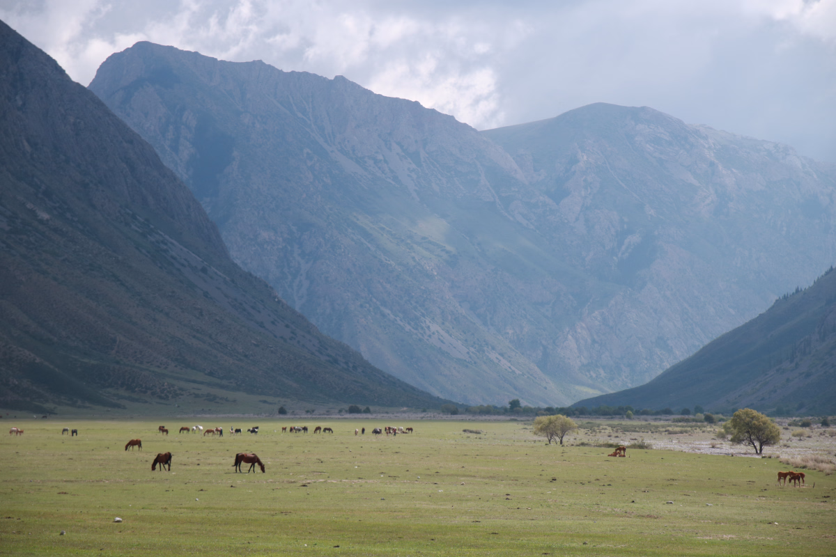 Randonnée et traditions nomades au cœur du Kirghizistan