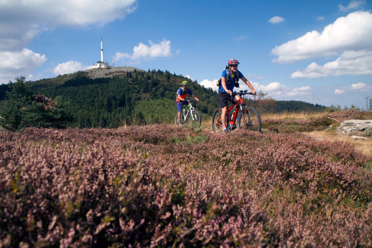VTT dans le Pilat rhodanien
