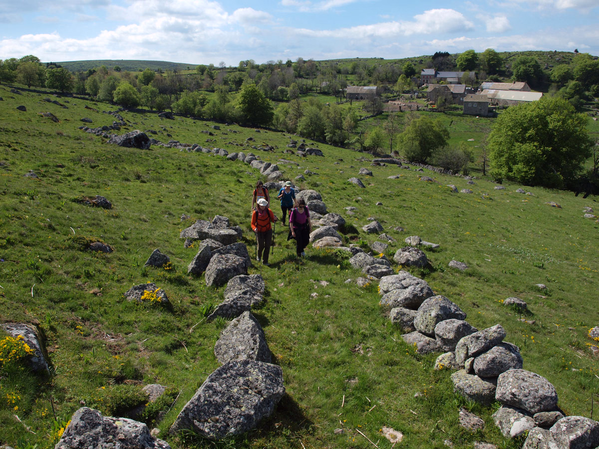 Le tour des Monts d'Aubrac en randonnée