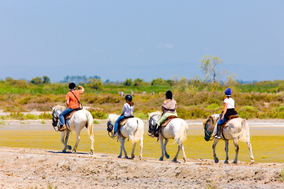 Voyage à cheval - Semaine à cheval en Camargue