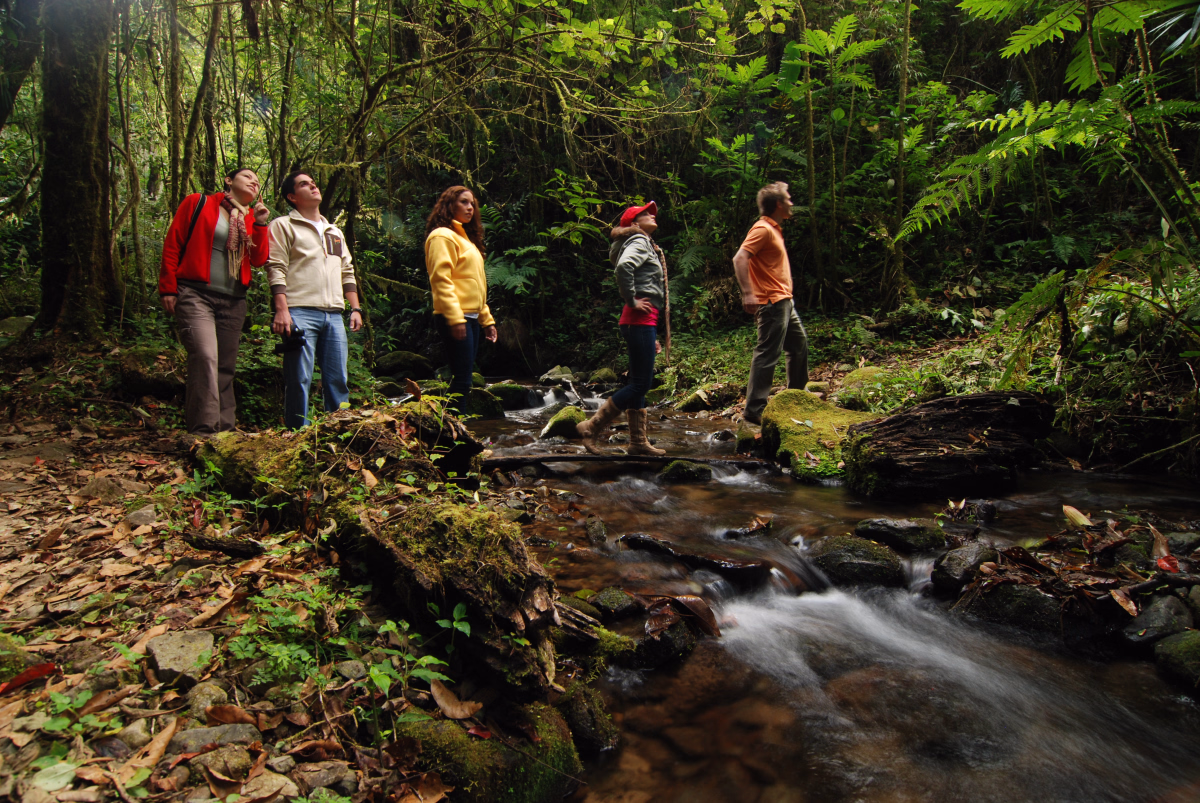 Rafting, canyoning et multi-activités insolites au Costa Rica