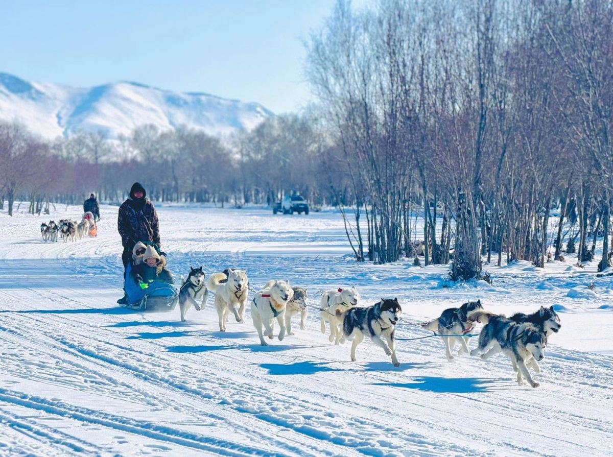 Aventure nordique festival de sport d'hiver en Mongolie