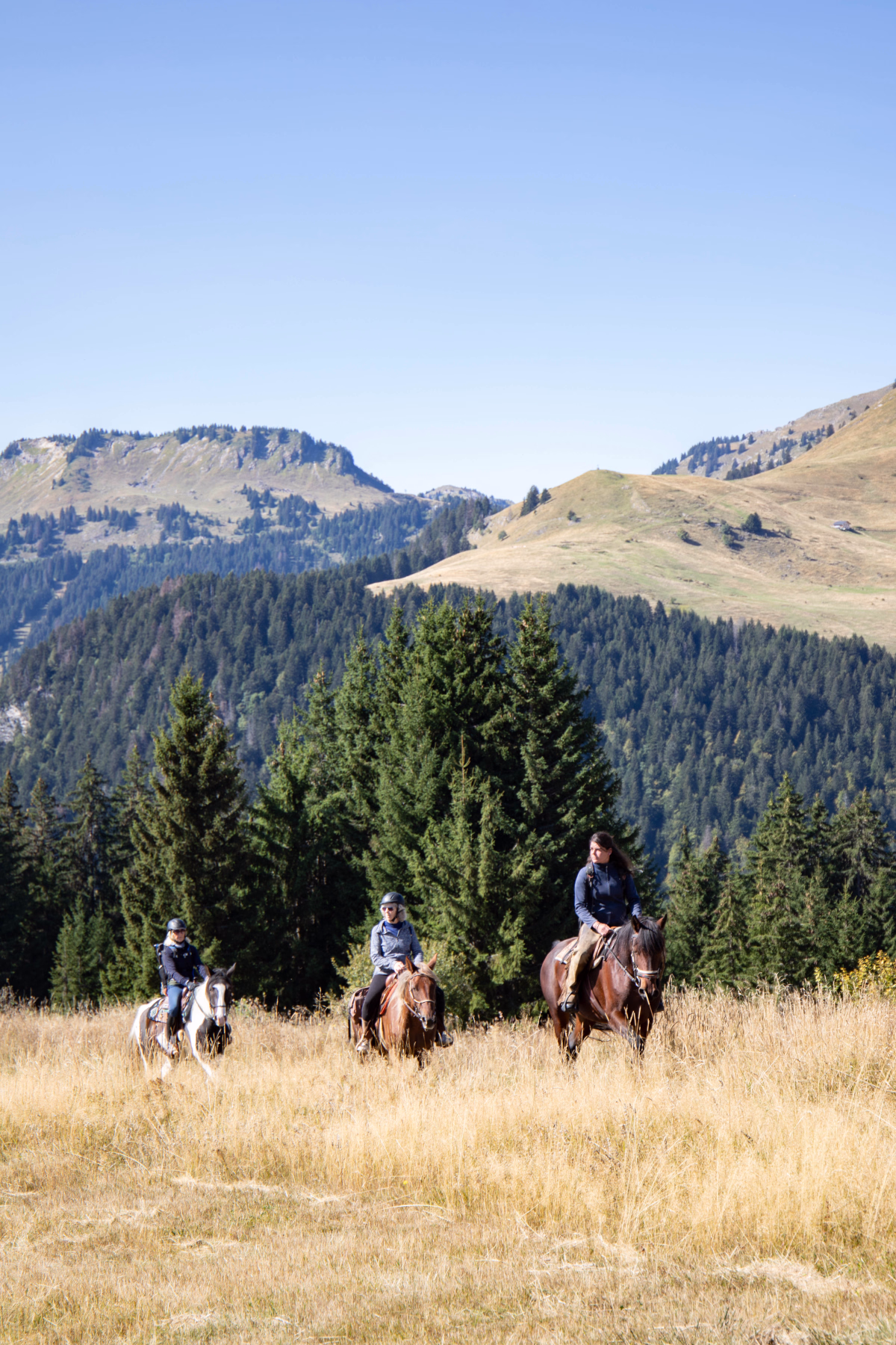 Voyage à cheval - Petite randonnée à cheval privative face au Mont Blanc