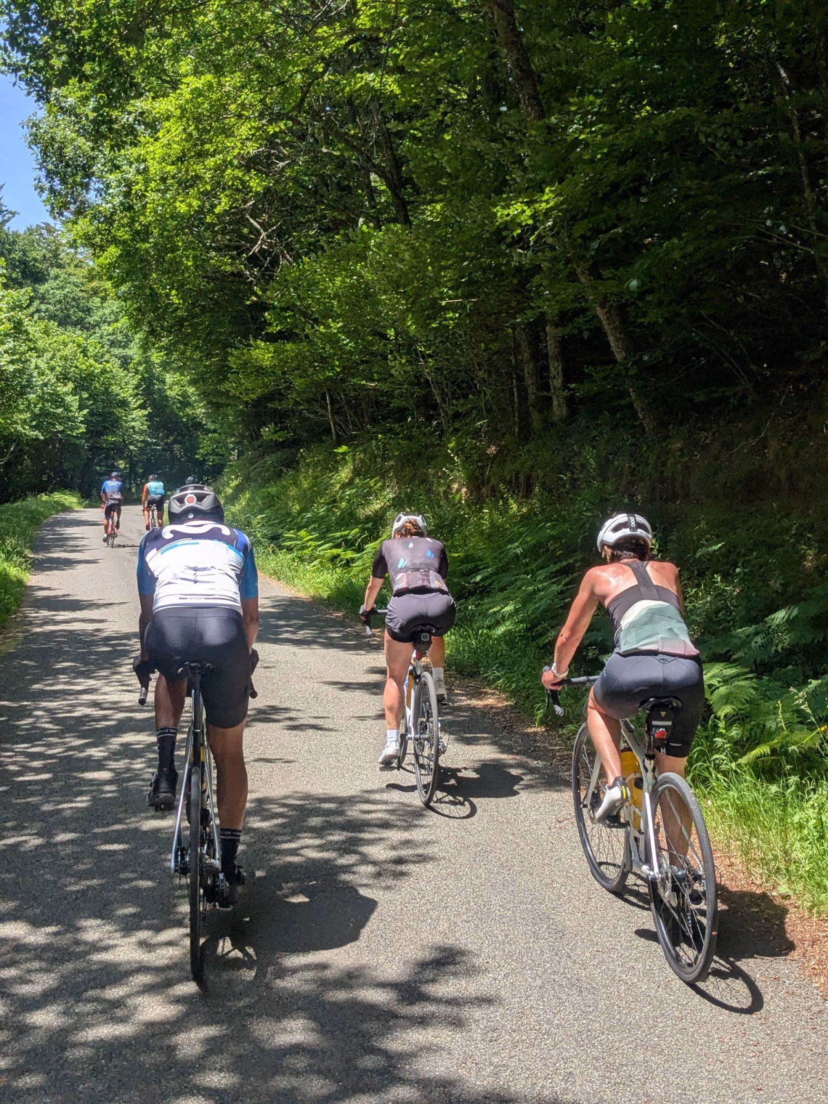 Voyage à vélo - Évasion à vélo en Dordogne, entre nature et patrimoine