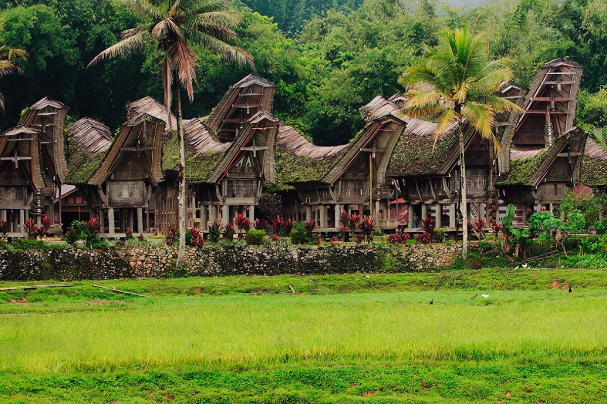 Trek immersif au pays Toraja, joyau du Sulawesi