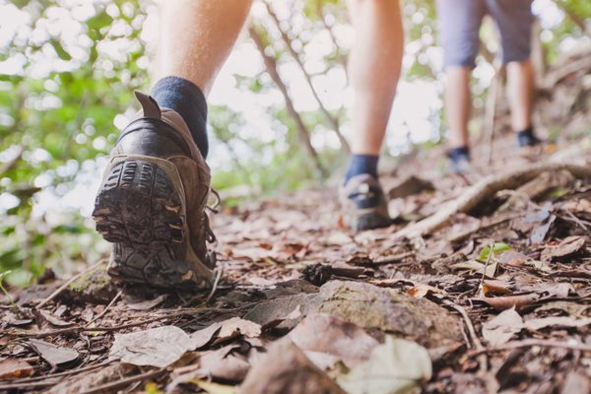 Multi-activités automnales et détente dans le Jura