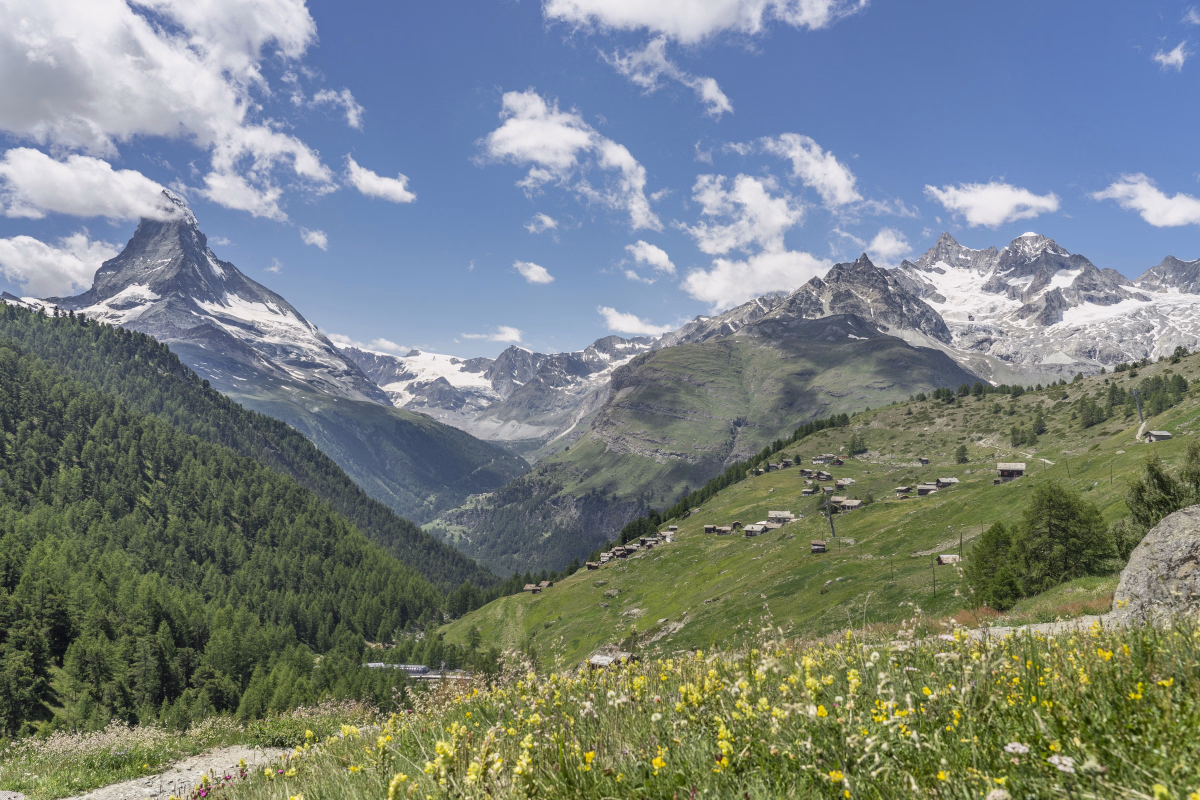 Randonnée et initiation à l'orientation dans les Alpes