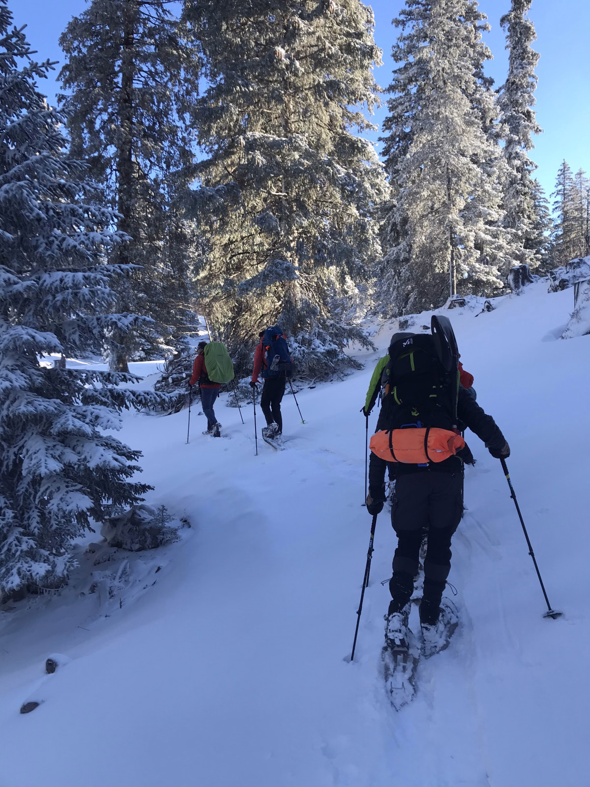 Nouvel an en raquettes sur les crêtes Vosgiennes