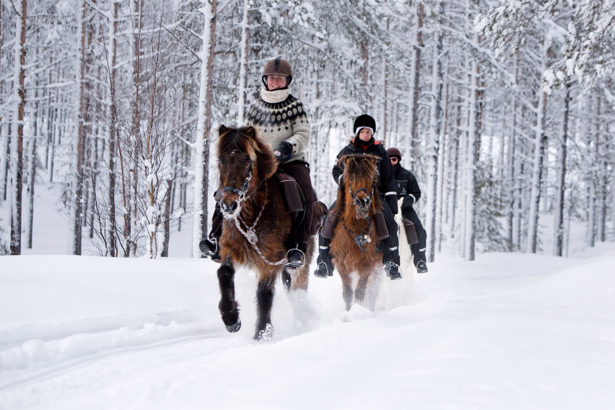 Voyage à cheval - Séjour équestre et multi-activités hivernal en Laponie suédoise