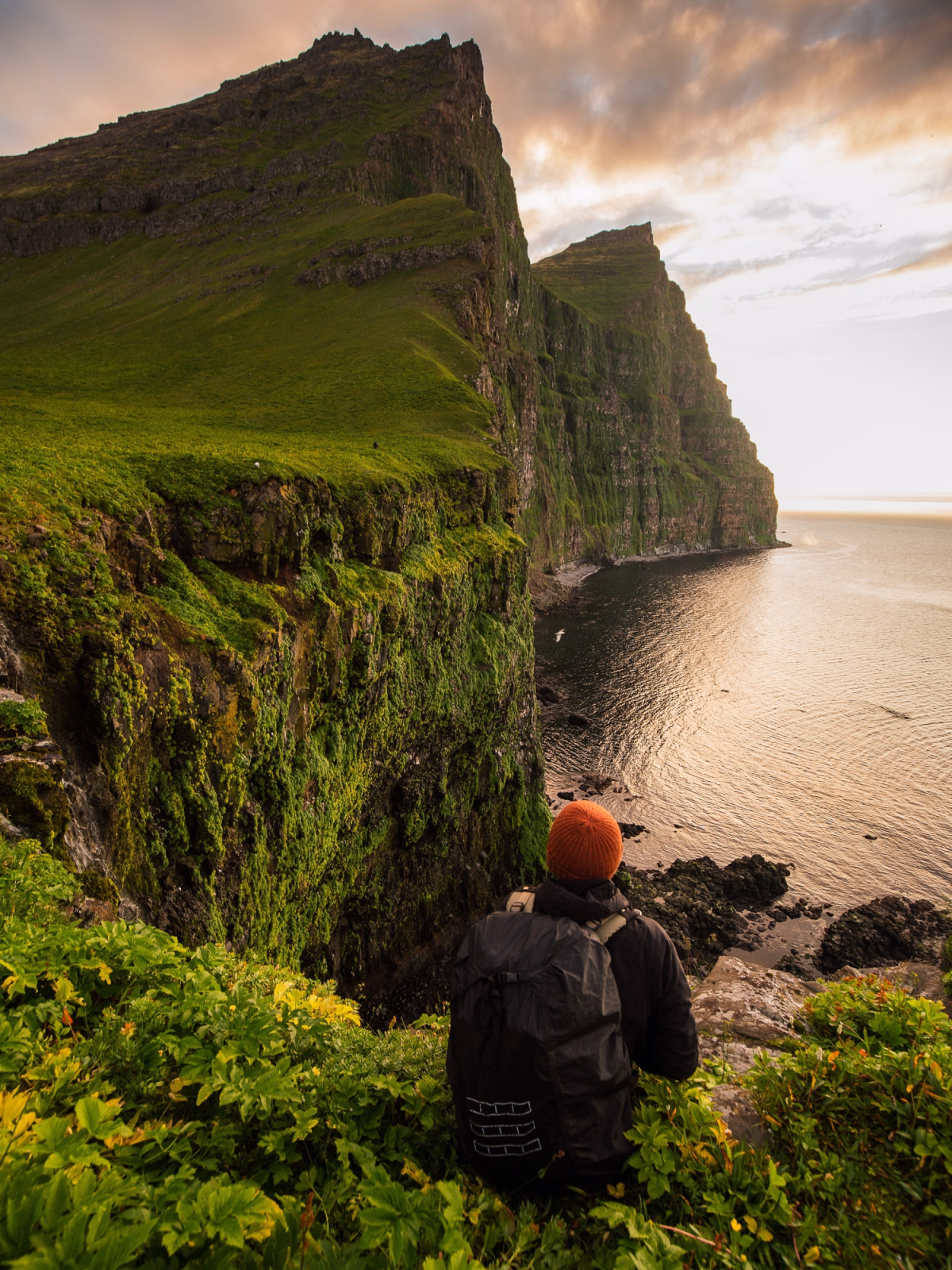 Excursion randonnée dans la réserve naturelle isolée de Hornstrandir