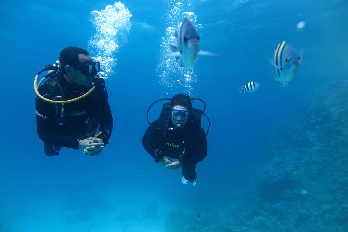 Formation Scuba Diver et temps libre à Hurghada