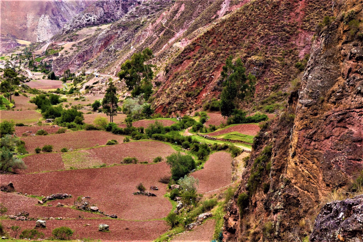 Excursion trek andin au Pérou entre Perolniyoc et la Porte du Soleil