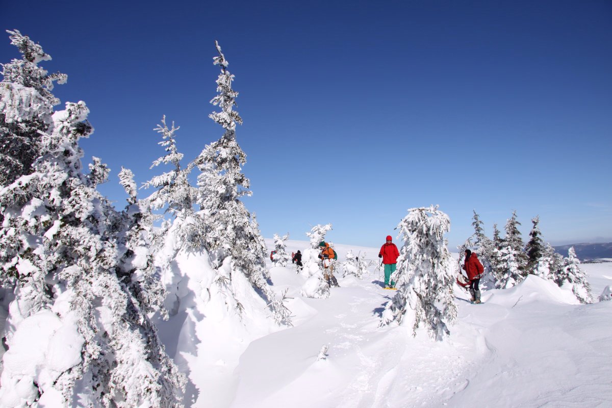 Raquettes et yoga hivernal en Lozère