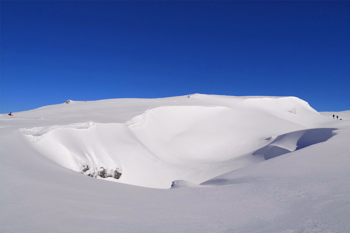 Réveillon dans le Vercors sauvage en Montagne Drômoise