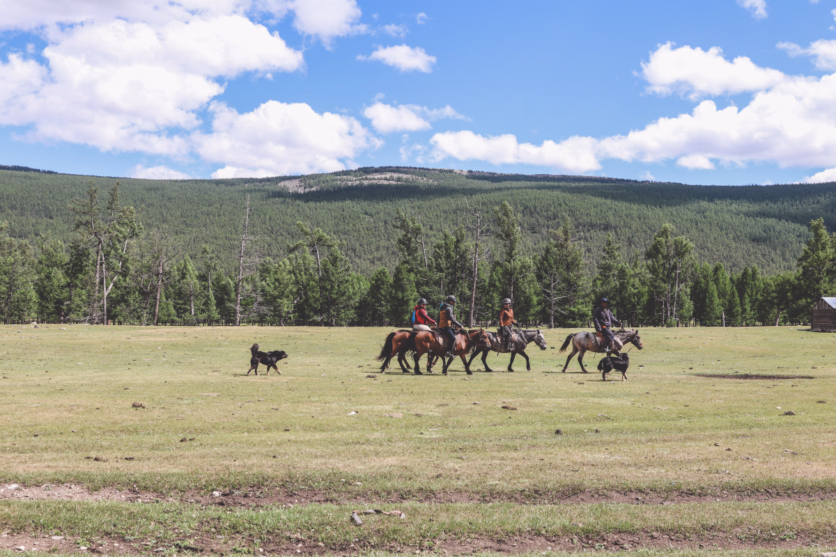 Voyage à cheval - Randonnée à cheval en Mongolie - Spécial Fête de Naadam