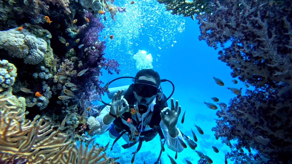 Trek - Passez votre PADI dans le parc naturel de Ras Mohammed