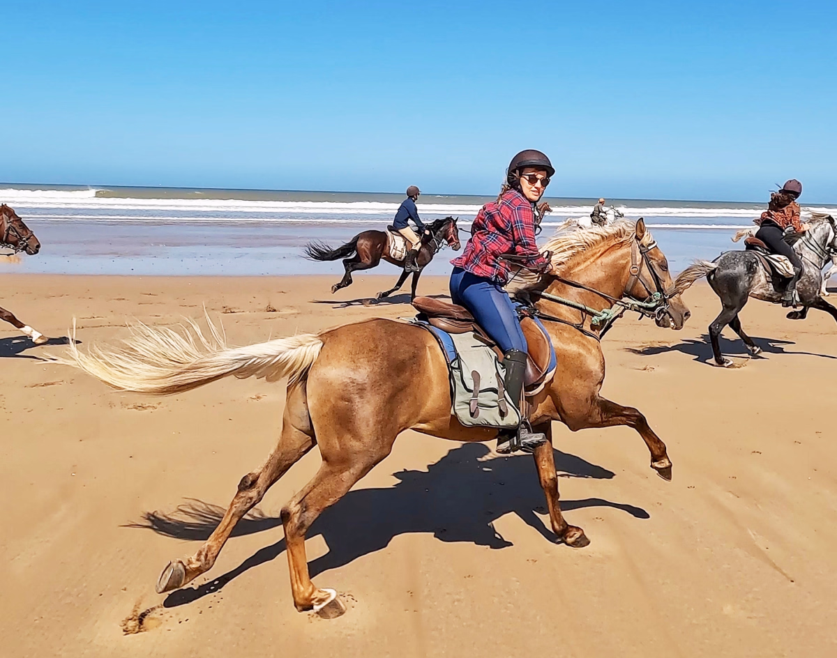 Voyage à cheval - Randonnée équestre sauvage sur la côte d\'Essaouira au Maroc