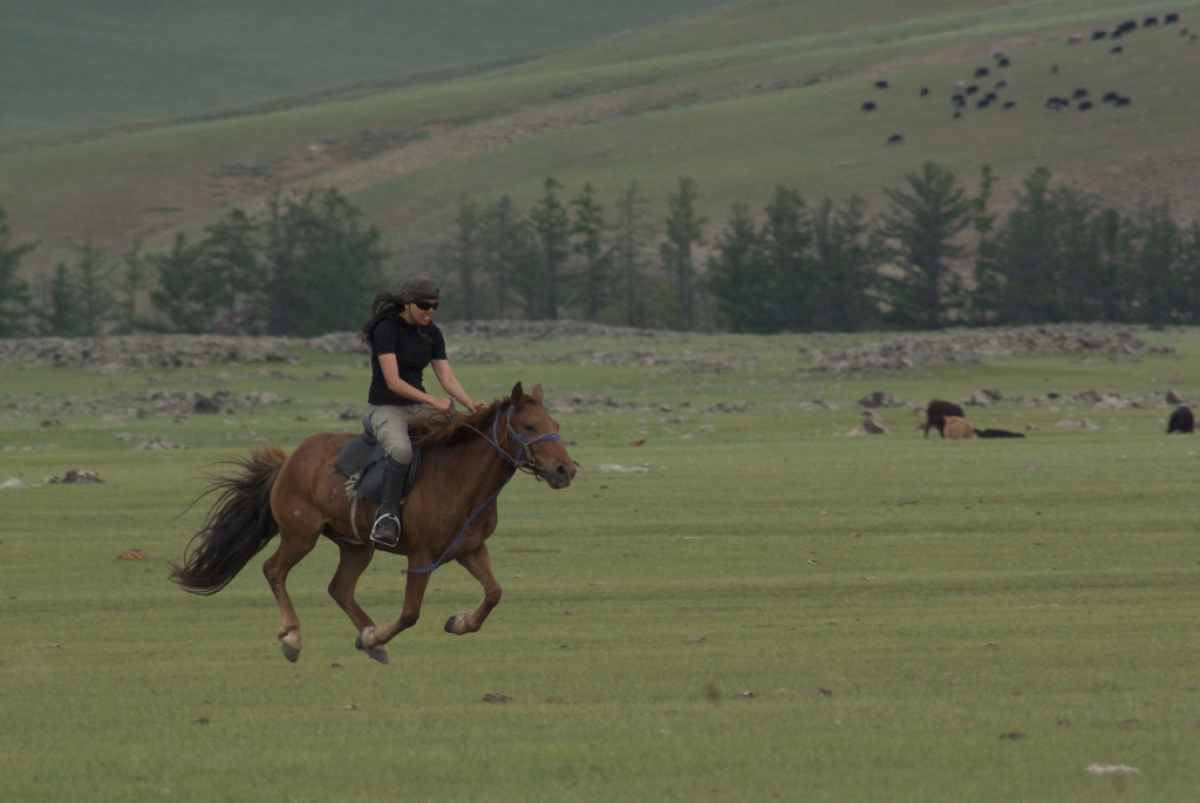 Voyage à cheval - Randonnée à cheval en Mongolie entre steppes et vallée de l\'Orkhon