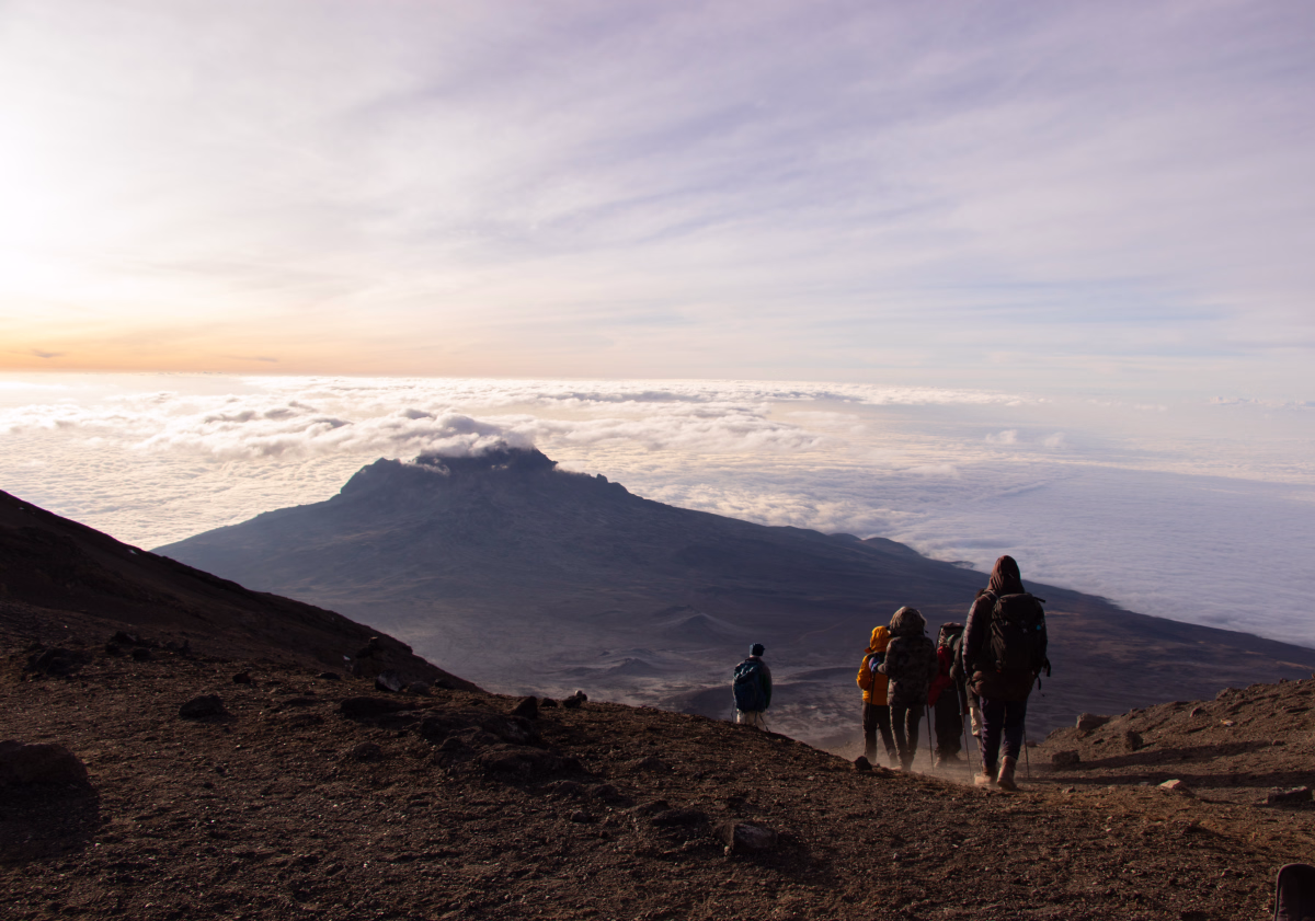 Trek - Kilimandjaro voie Umbwe : l\'aventure sur la voie la plus sauvage