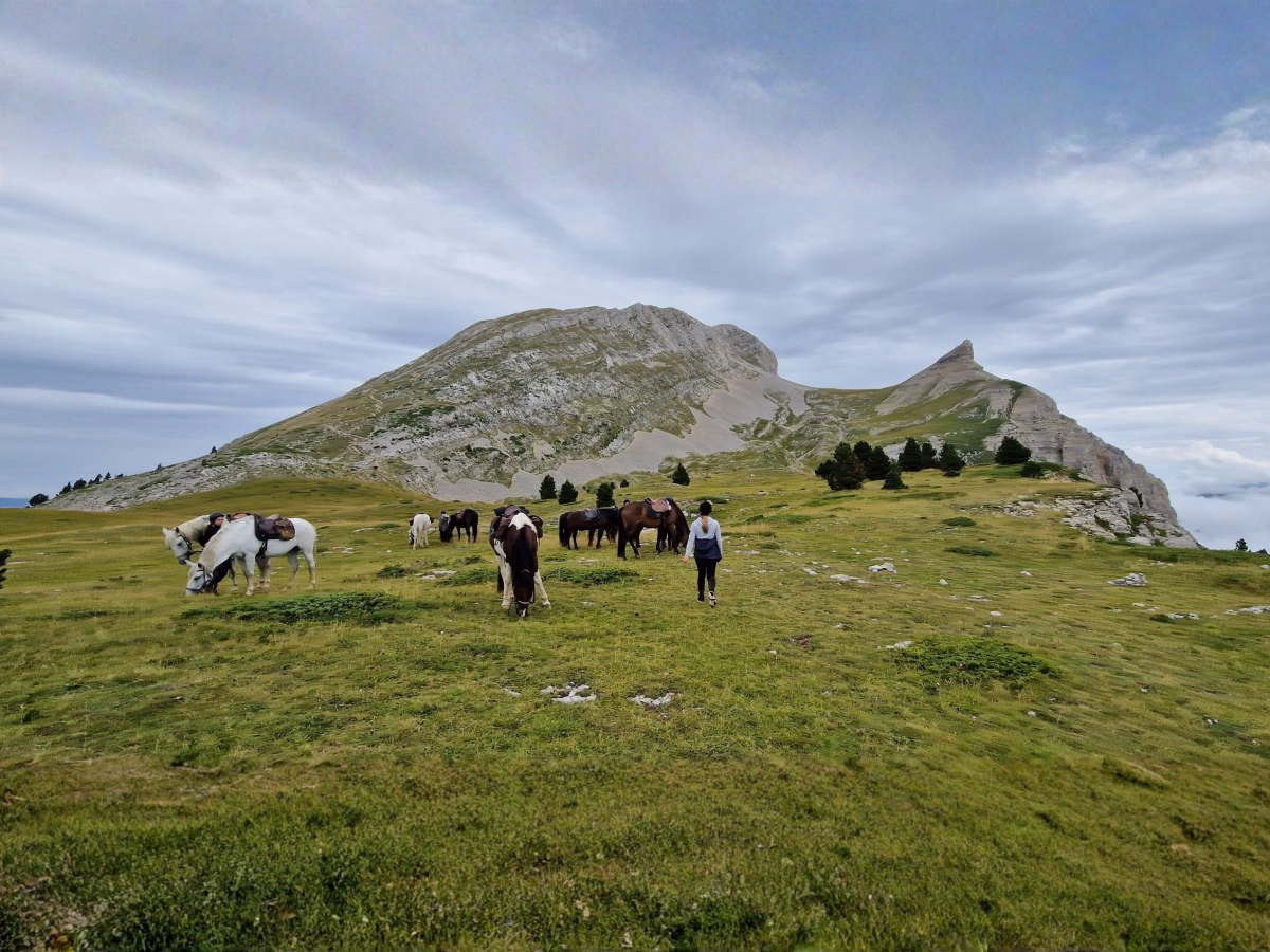 Voyage à cheval - Randonnée équestre sur les hauts plateaux du Vercors